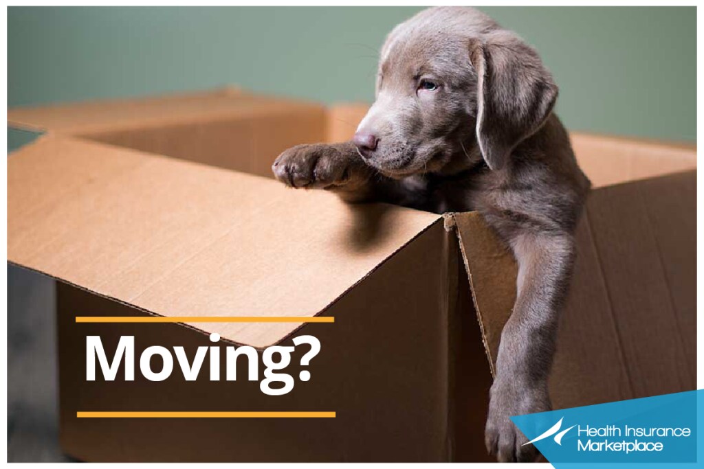 Health Insurance Options When Moving